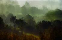 Fotografia con paesaggio boschivo scattata ed elaborata da Claudio Saccari