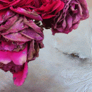 Elaborazione digitale di cm.145x145 realizzata nel 2014 da Femi Vilardo denominata Blumen 7