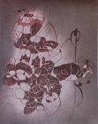 Acquaforte acquatinta di cm.50x70 denominata Fioritura realizzata da Gualtiero Cornachin nel 1981