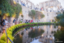 Fotografia della Fonte Aretusa a Siracusa, copyright Vittoria Gallo