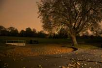 Nicola Brandt - An empty pond in Greenwich Park November 2011