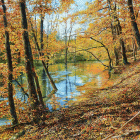 Dipinto ad olio su tavola di cm.60x60 ambientato a San Servolo in Slovenia e denominato Atmosfera Autunnale realizzato da Livio Mozina nel 2015