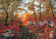 Dipinto a olio su tavola di cm.70x50 denominato Cromatismi Autunnali realizzato da Livio Mozina