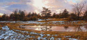 Dipinto ad olio su tavola di cm.37x80 denominato Sera invernale, ambientato a S. Servolo in Slovenia, realizzato da Livio Mozina