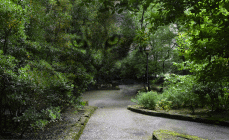 Fotografia di Giardino Wanda e Marion Wulz realizzata da Nadia Sirca a Trieste nel luglio 2015