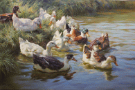 Dipinto di cm.60x90 a olio su tela denominato Anatre allo Stagno realizzato da Sergio Budicin nel 2015
