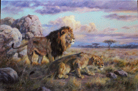 Dipinto a olio su tela di cm.120x80 denominato Leoni all'Erta realizzato da Sergio Budicin nel 2014