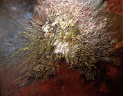 Dipinto in tecnica mista di cm.80x100 denominato Espressione carsica 06 realizzato nel 2013-2016 da Silvano Clavora