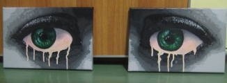 Due quadri con un occhio in ognuno dei due realizzati da Stefano Goina