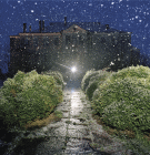 Fotografia di Stratos Kalafatis con un paesaggio composto da un sentiero che ha ai lati una vegetazione rigogliosa e in fondo una stella luminosa in un cielo blu scuro stellato