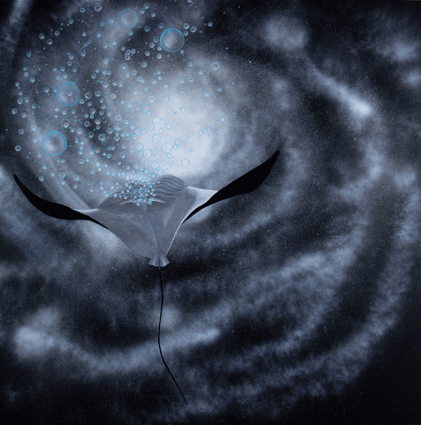 Dipinto a tecnica mista su forex di cm 135x135 denominato La Manta realizzato da Ada Pasta