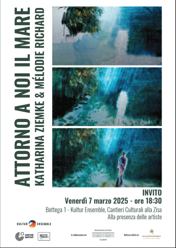Locandina della installazione video-sonora di Katharina Ziemke e di Mélodie Richard