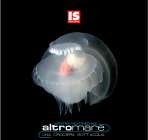 Cartolina con immagine dalla mostra Altromare: Una crociera sott'acqua