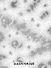 Copertina del catalogo della mostra Dadamaino Gli anni '80 e'90, l'infinito silenzio del segno