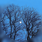 Post produzione fotografica su dibond di cm 20x20 denominata LUNE 25 realizzata da Elizabeth Ruchti nel 2023 
