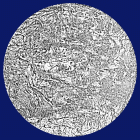 Opera a tecnica mista in post produzione fotografica su dibond cm 30x30 denominata LUNE 27 realizzata da Elizabeth Ruchti nel 2023