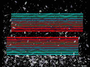 Stampa digitale a colori denominata Two Horizontal Of Horizontal realizzata da Matjaž Hmeljak nel 1995